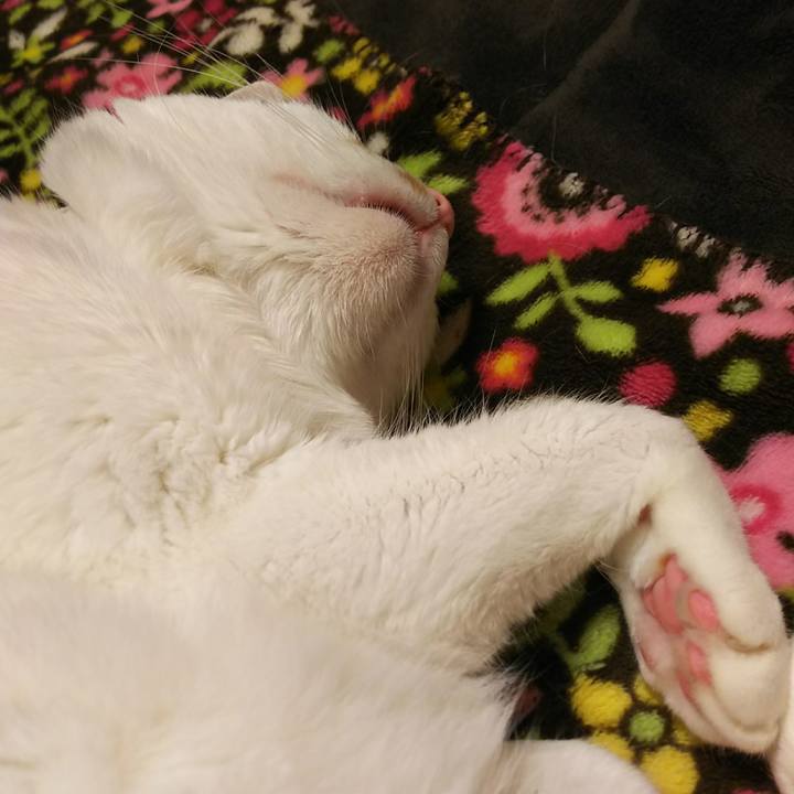 01162af1 f7ad 4e8d b2a8 8fe148289902 1549542272586