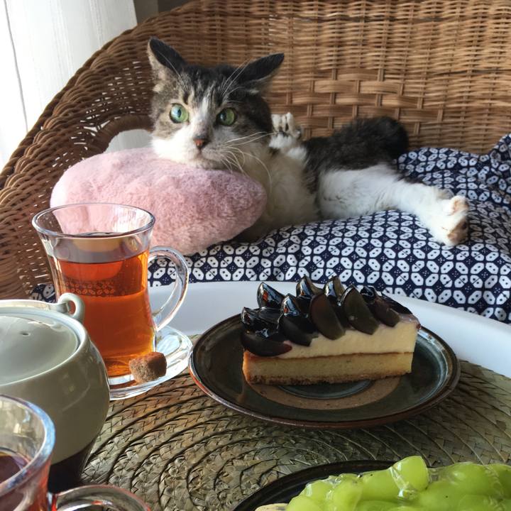 01166dce 7d87 4021 ad31 6c0dfb4d90af 1693517567674