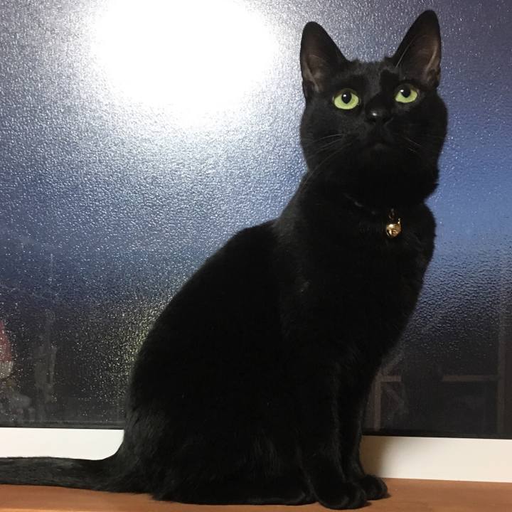 01169787 619d 437e afa7 bd205973c4a4 1517129001583