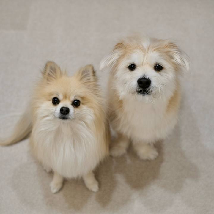 0116aa43 34df 4352 9d36 6d74e5bb4daf 1770675589920