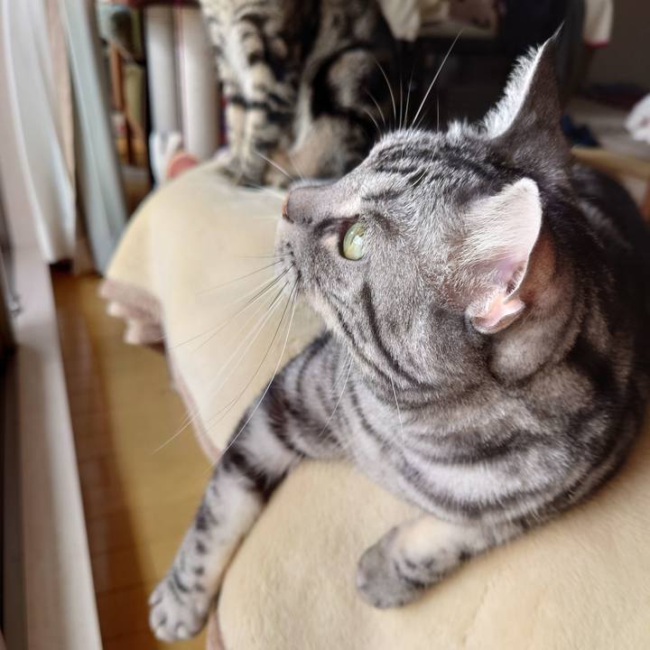 0116c751 2463 4f8e 84a2 e6f65af6bcde 1652157696215