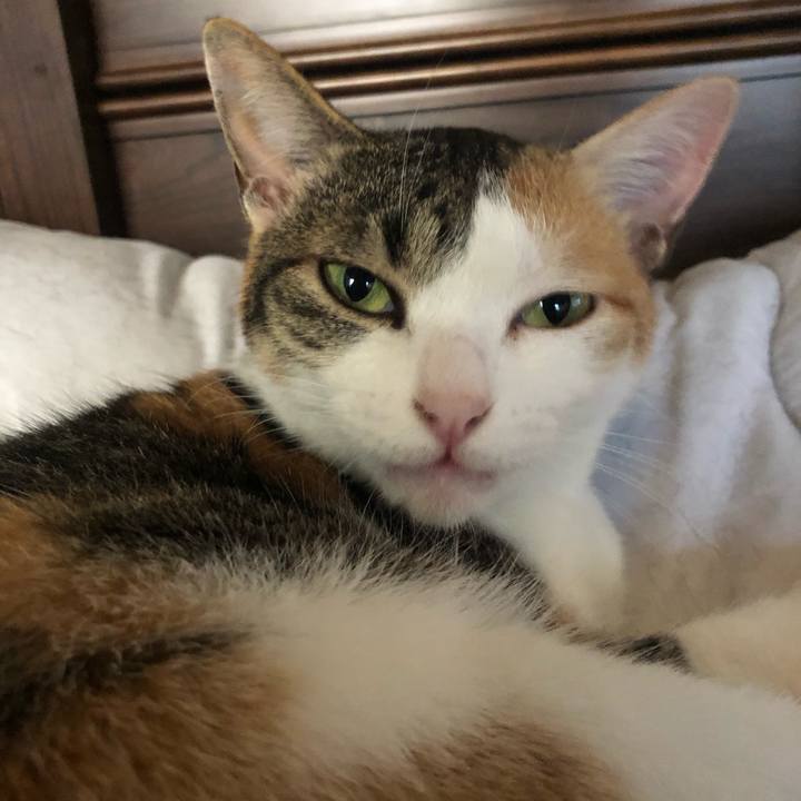 011724d7 e23c 4ee1 9b0a 31fa823815d2 1589664777372