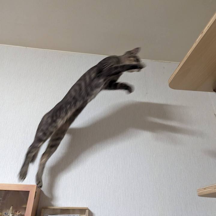 011730ac 6ea4 4e8a 9bab f9f965542bfa 1710821555162