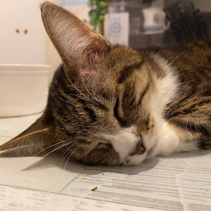 01173481 0b14 4a1c 8c14 c95bc3f7f124 1643076311525