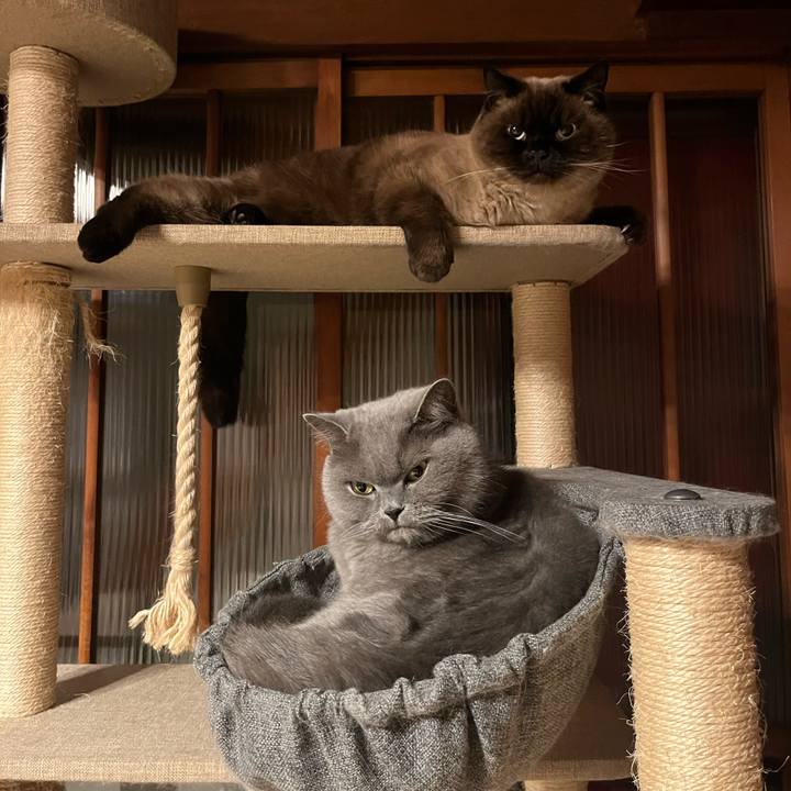 01174134 2cdd 43b0 a45c 5d613e766138 1672142452241