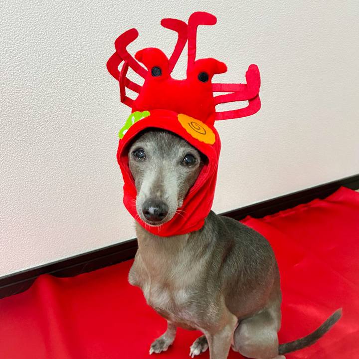 0117a075 37c2 4eef 9018 d750c3cdec6b 1770115760841