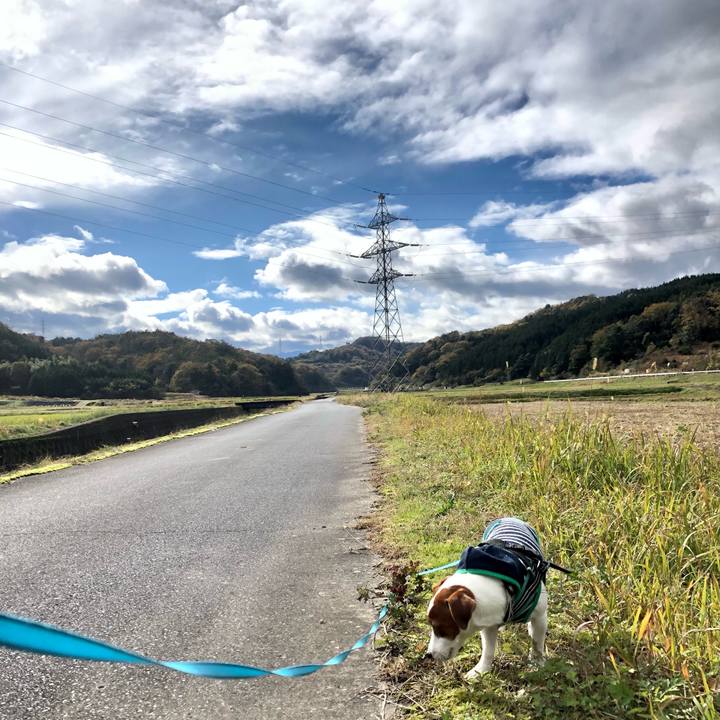 0117cd5a 6e26 4ebd bd38 9ebfebfe4973 1606727099429