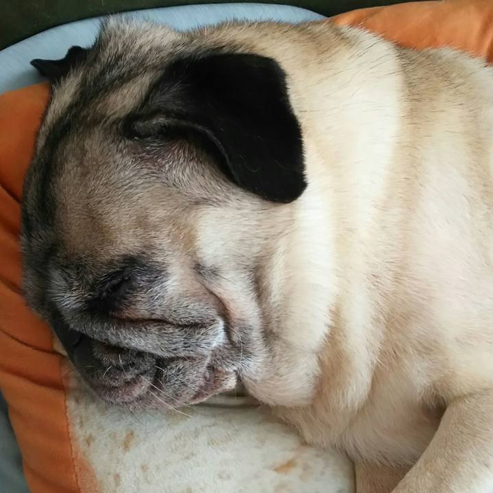 01180023 1ea5 44bc 8f7a 21973c7f78ac 1533306757385