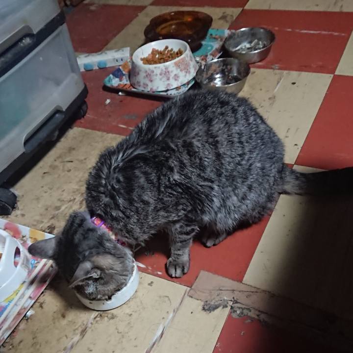 011838a1 e40b 410d b17e f3050e30b738 1581107875279