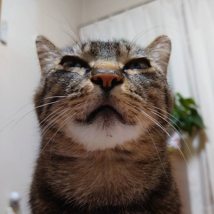 01183b5b c6e8 4582 b2d4 785e885abc2b 1622729380465