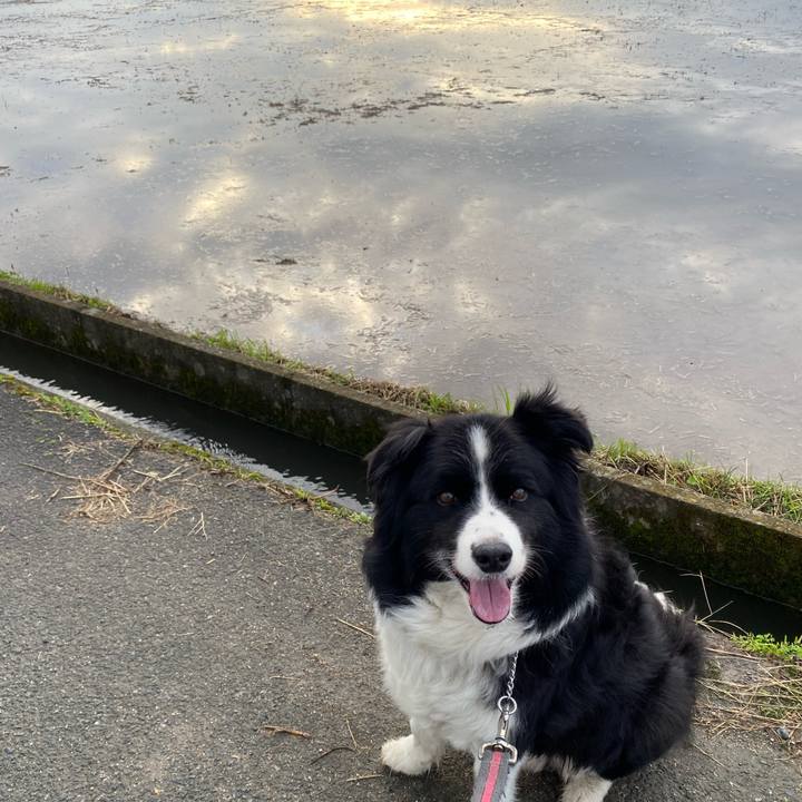 0118610c 2850 4c65 b8e5 21e6b0914f62 1623837773832