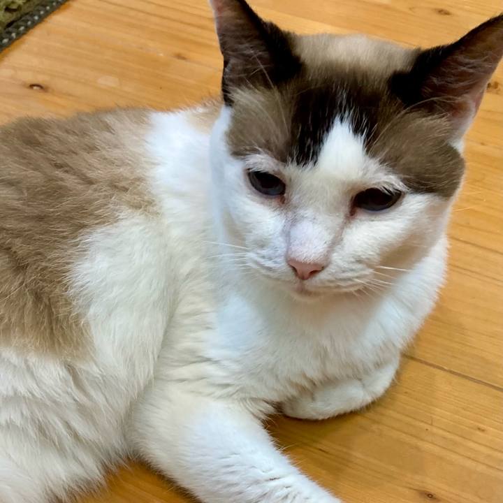 01187394 9a89 49a0 8bd0 5a96fce9393f 1658665788946