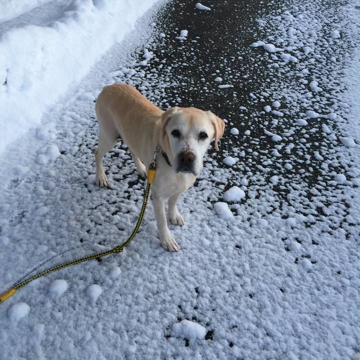 01188487 79df 4bea a516 655c062adc35 1581081196007