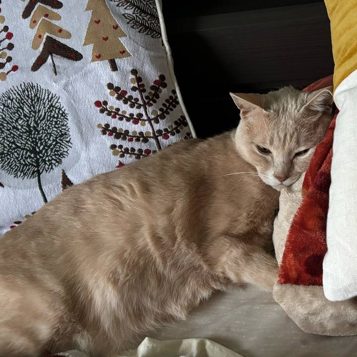 01188b48 5790 4e81 9321 155cf1763034 1729839535928