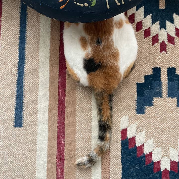 01189c95 759e 4a09 9dee 90e28e7a6671 1688599876836