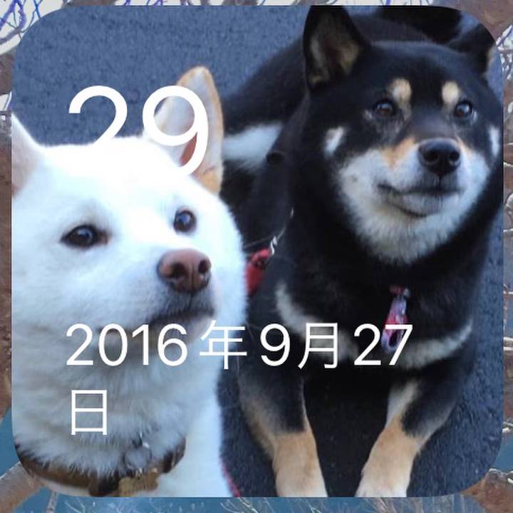 01191b97 9089 4caf 8c70 e09be7ad2194 1664382816514