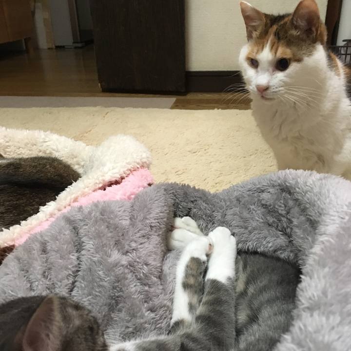 01195316 dbb0 45d0 b315 113921dc9e52 1541589601376