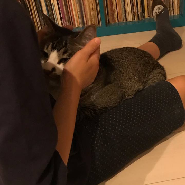 011968fc e621 41c4 ac7d 26c1b167e41e 1562155030938