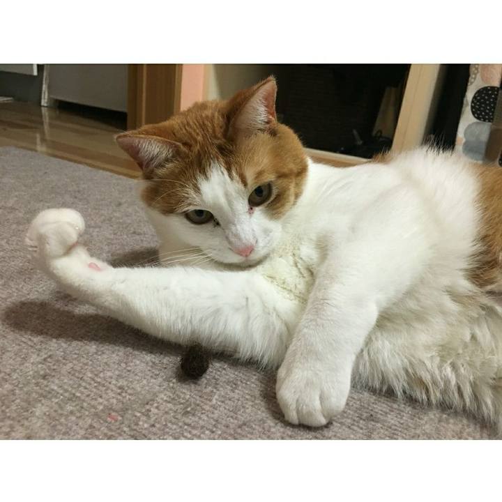 01197b3d e004 40ae 96f6 b4c8eea55087 1518149804766