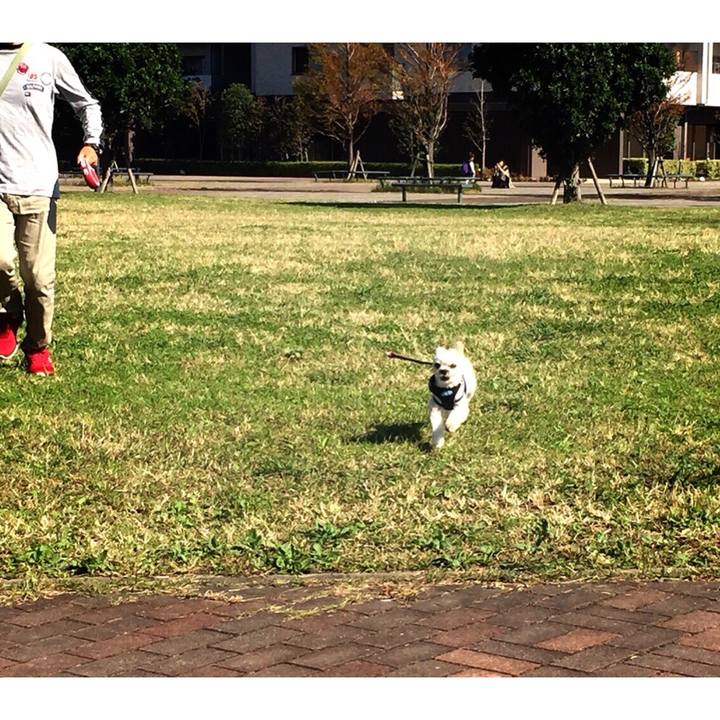 0119b26f c598 4bbe aabd 53bcbdd4ec8b 1540797398066