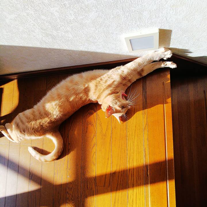 0119d514 1ee9 4b60 bb01 f99180f525d8 1573965814171