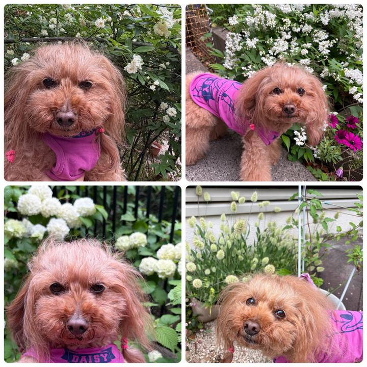 011a107a d525 4cef bb2e 3f730715e544 1776589003323