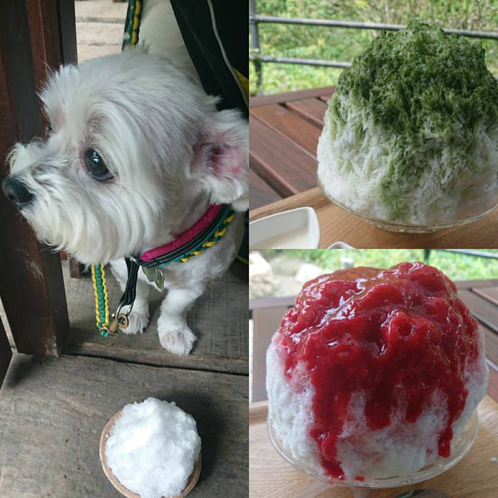 011a6644 5d44 434b a542 463d32473472 1564204112883