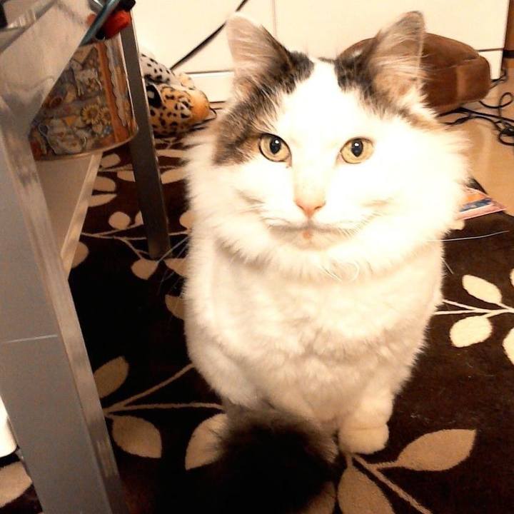 011a75b8 afcc 4bc6 b66b 52650dcddea2 1676345393744