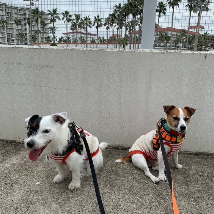 011a89cf d962 414f bbac de858ab707f4 1569031249956