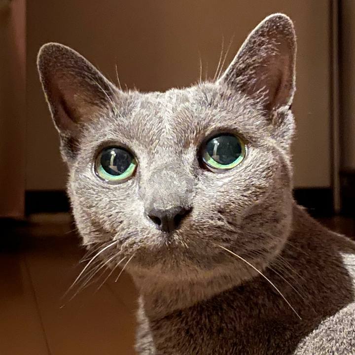 011ac395 fe05 401d 9242 be7062279960 1597880110653