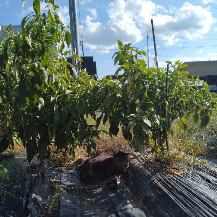 011ad135 1e7a 436c 8136 75a877609af6 1759222594113