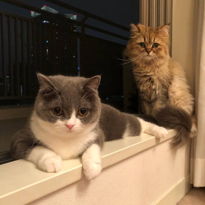 011ad546 f0a8 464c 8441 9176f377bcd8 1528289247419