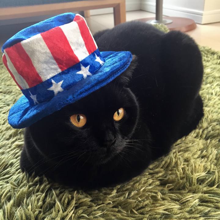 011aea2d c7c8 44d2 9973 494c3199ec70 1522540322096