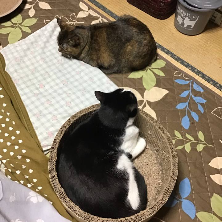 011b028c 2360 4af0 8437 876577a833f2 1733133576398