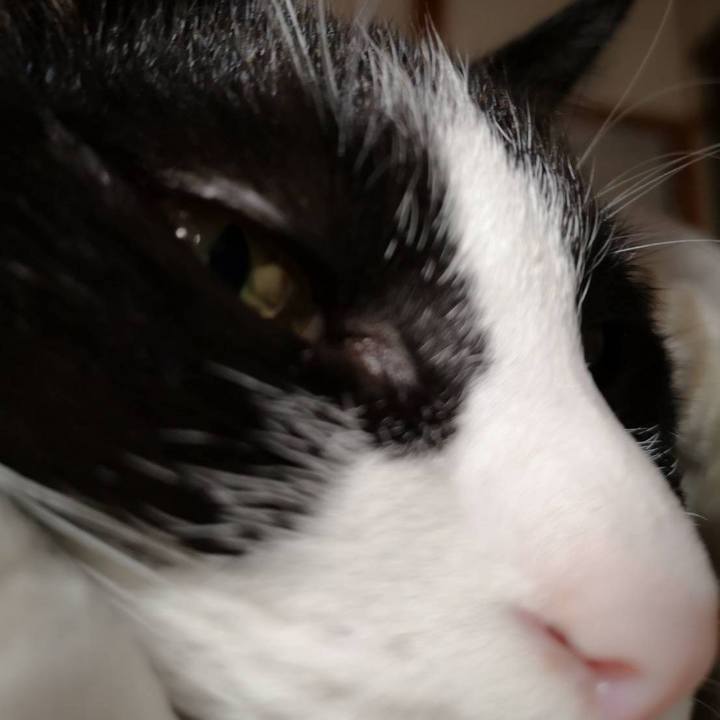 011b0837 e4eb 4ede 9cb7 2cd42ddfcfcf 1634700972684