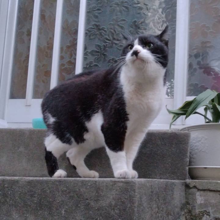 011b0c33 6cfd 41c5 90cd f7b196f92d81 1703579611632