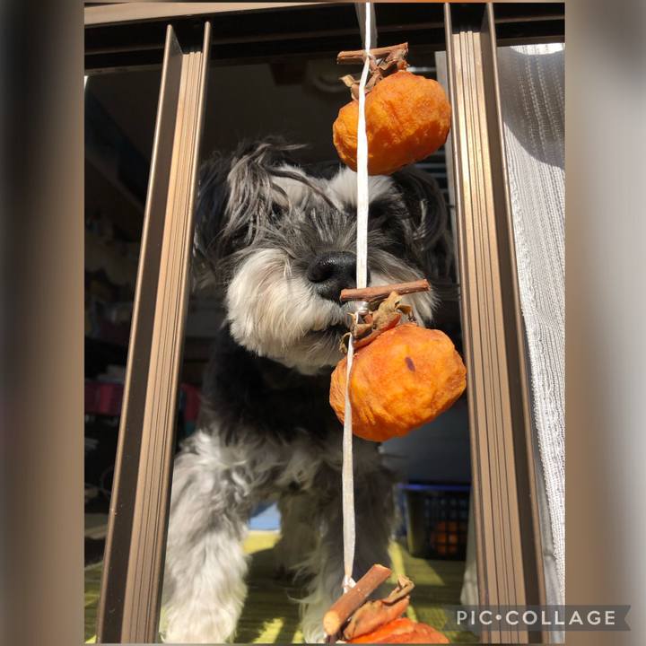 011b25af 8358 4dcb 8724 3f53f28fda4b 1699164472428