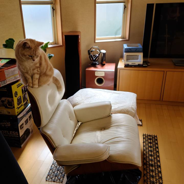 011b3a6a d607 4ea6 94ae 36c3fb117a68 1614668114603