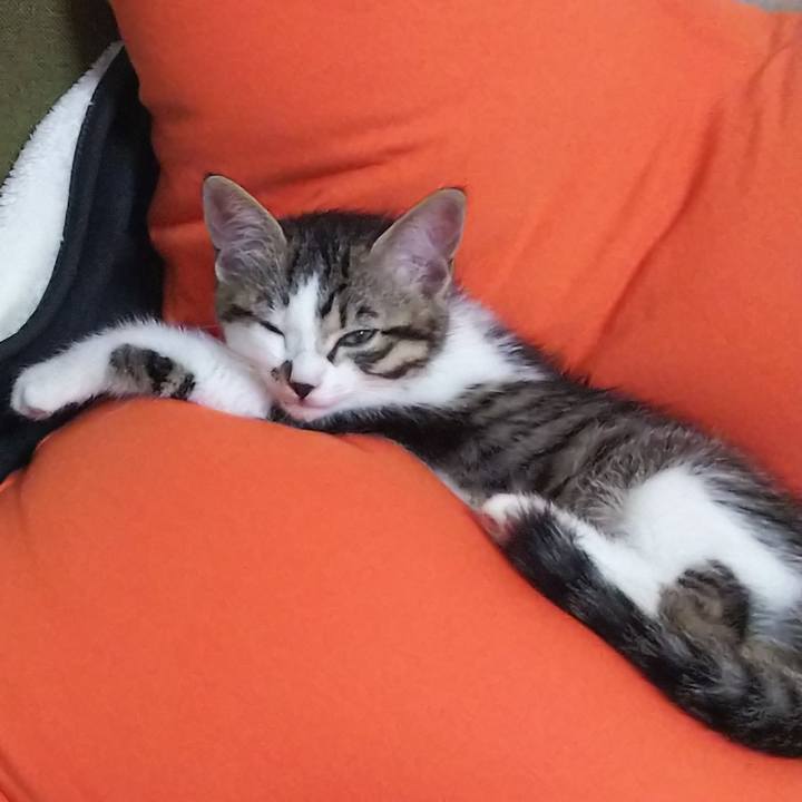 011b6ff3 2c8c 4d6d a137 298aed7bfb7b 1614938039613