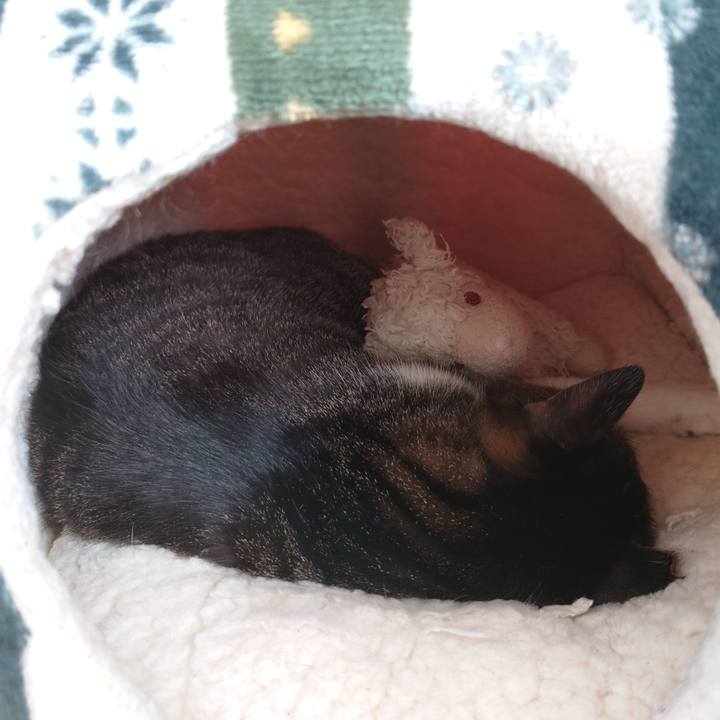 011b70c8 5fe4 463e b23d ae8405ec5f1a 1774742852500