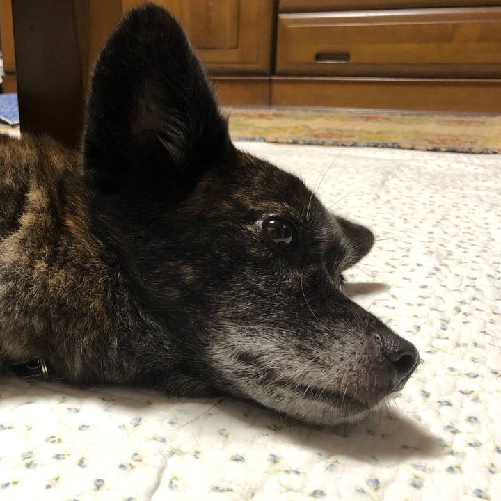 011b73db aae6 41f8 9918 e66a2689cc56 1563709882388