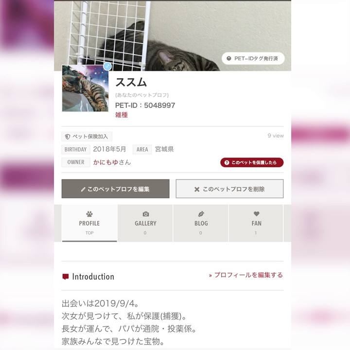 011b7567 c3f4 451d 895e 7c9361052fde 1570344922612