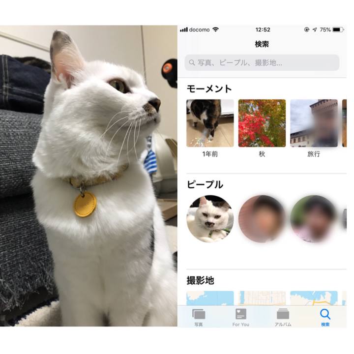 011bbacf 2f6a 4ae5 8b81 77cdc9612695 1544328073359