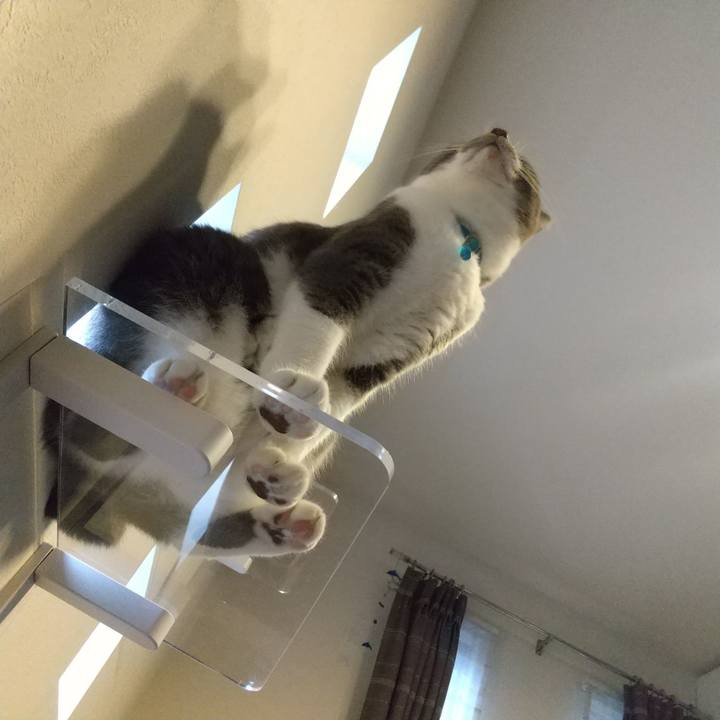 011bf224 6b16 4620 bc20 dcd72cb426f0 1631794769702