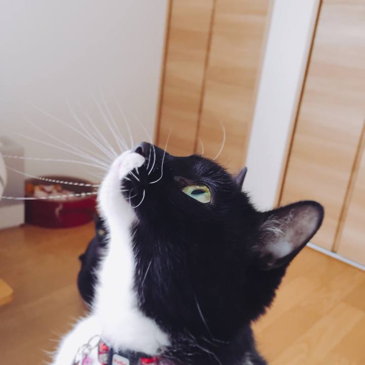 011c25f6 a550 4661 aba7 ac172e7c1daa 1556603041979