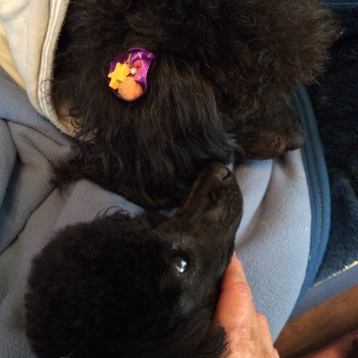 011c2bd7 3eaa 448a b01d 67ba7e67abd7 1542503406508