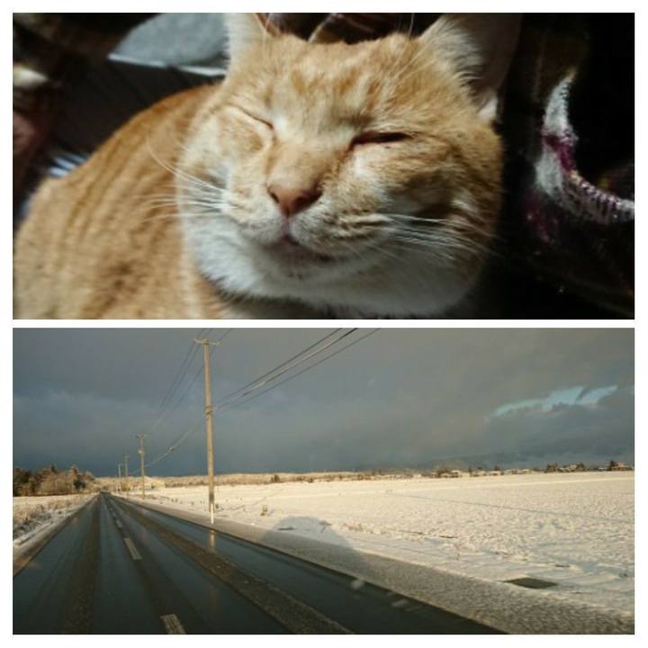 011c37cf cc9b 424f b6b4 046834aa6bbc 1575078709706