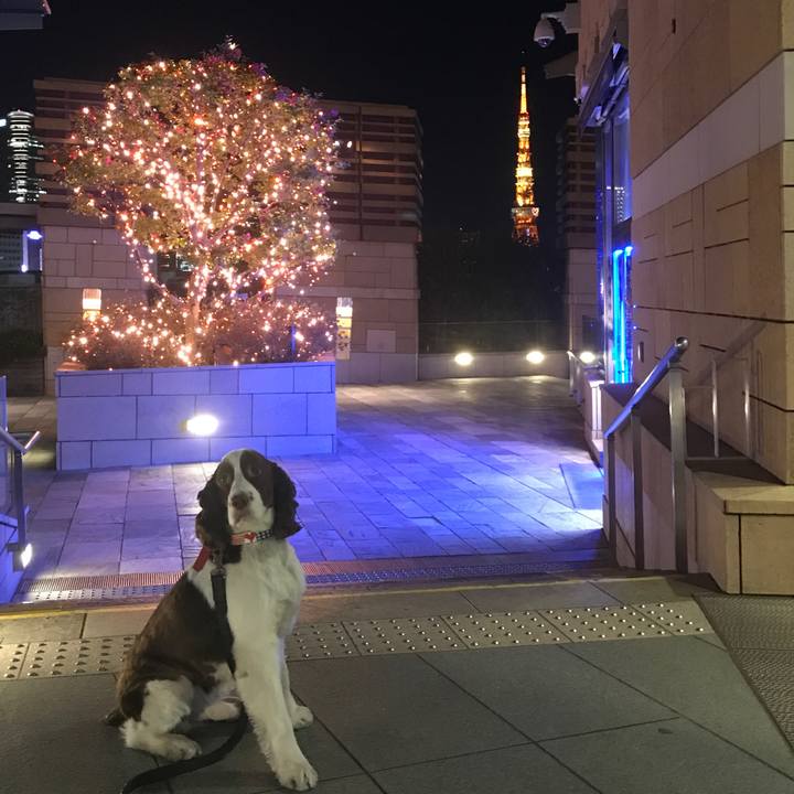 011c45cb d226 42c8 a249 0ffbb38f9542 1513179104070