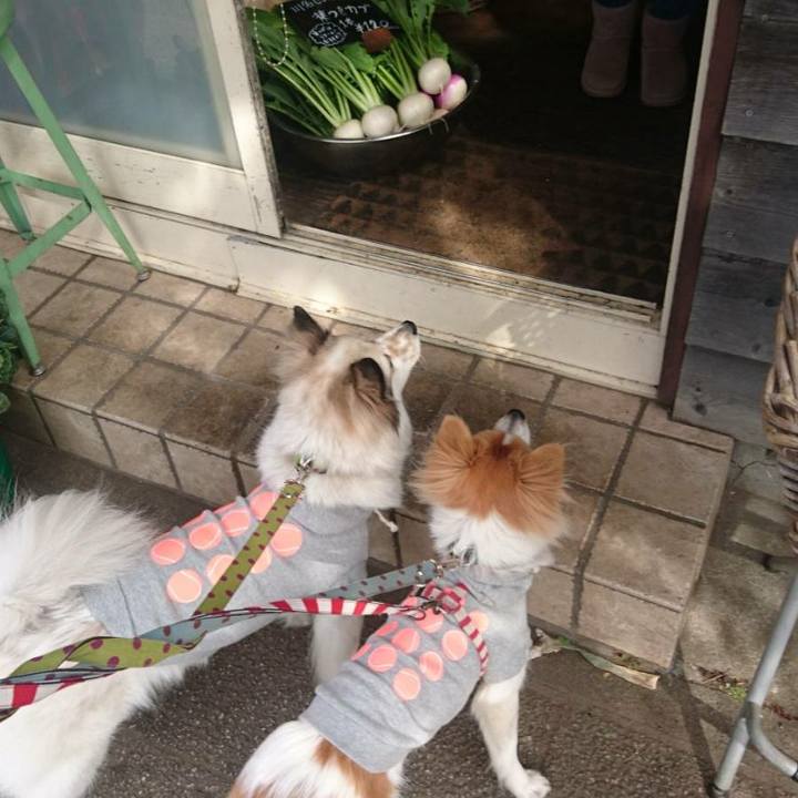 011c74bc 4ead 44a9 bab9 26a5f0a034c0 1519210735171