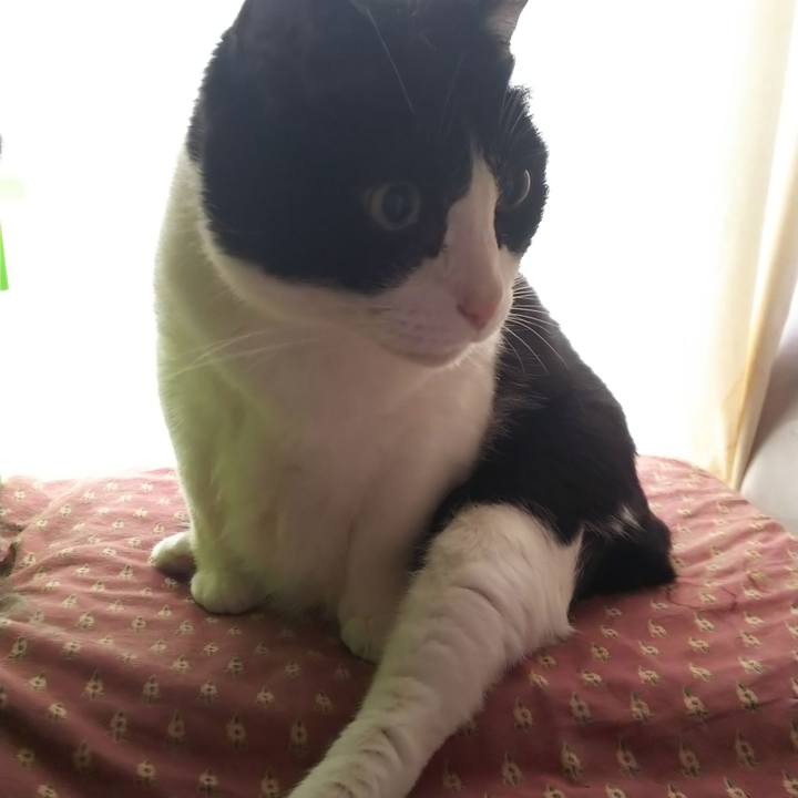 011c9535 a995 4af3 af7f d48cd9627a89 1562370855776